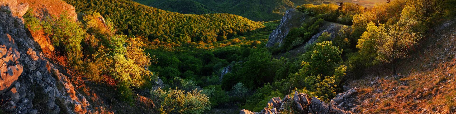 A mountainous landscape with dense forests and rocky terrain.