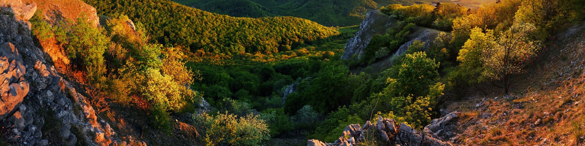Paisagem montanhosa com florestas densas e terreno rochoso.
