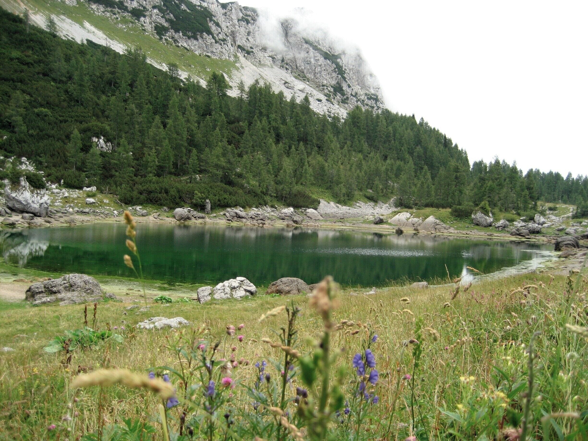A mountain lake surrounded by dense forest and rocky terrain.