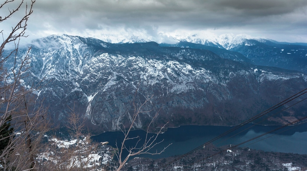 View from Vogel ski resort over Lake Bohinj in Slovenia.Not even a dull day like this one could not spoil this view.