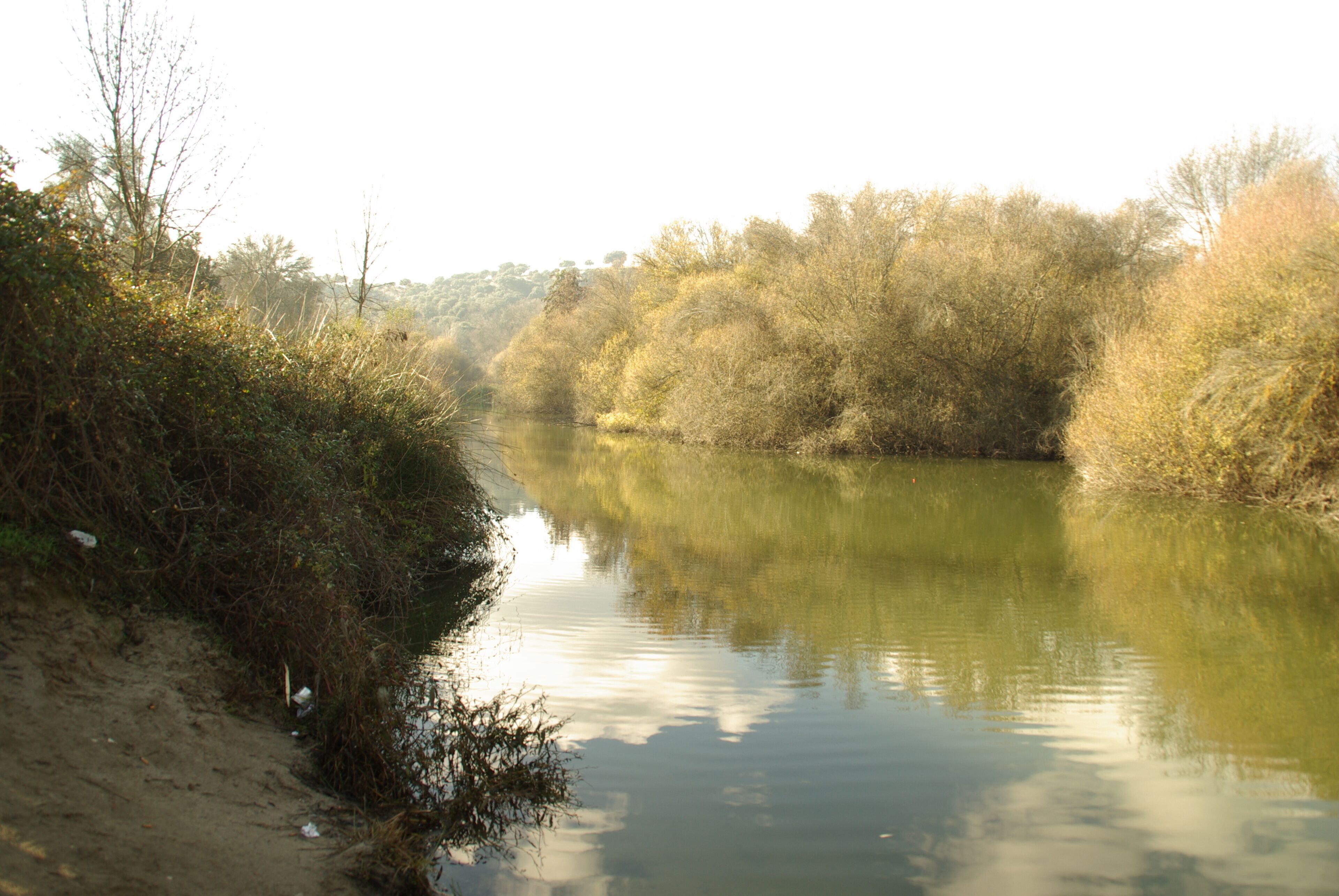 ® S.D. MADRID RIO MANZANARES - REFLEJOS