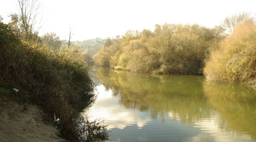 ® S.D. MADRID RIO MANZANARES - REFLEJOS