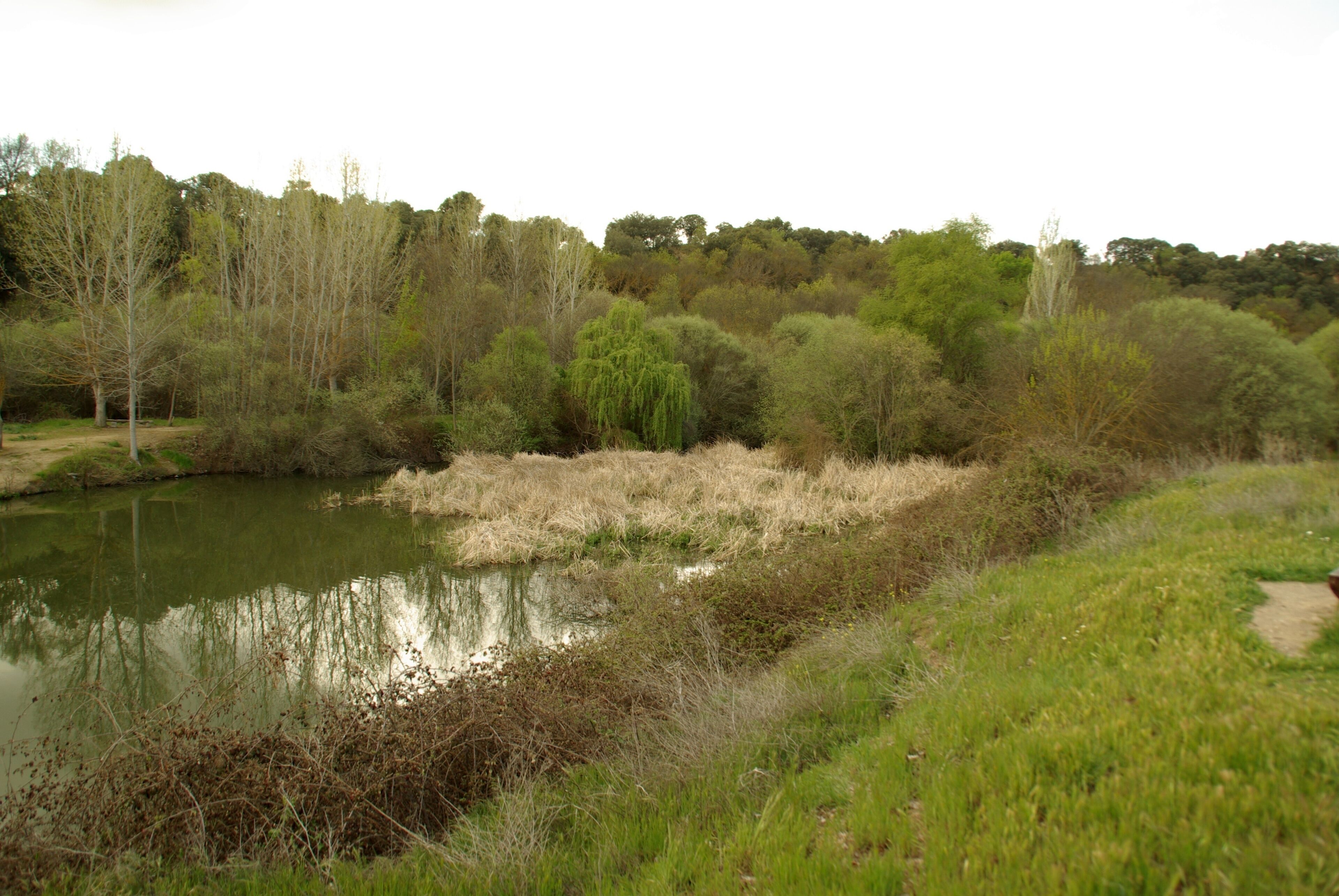 ® S.D. MADRID RIO MANZANARES_MEANDRO