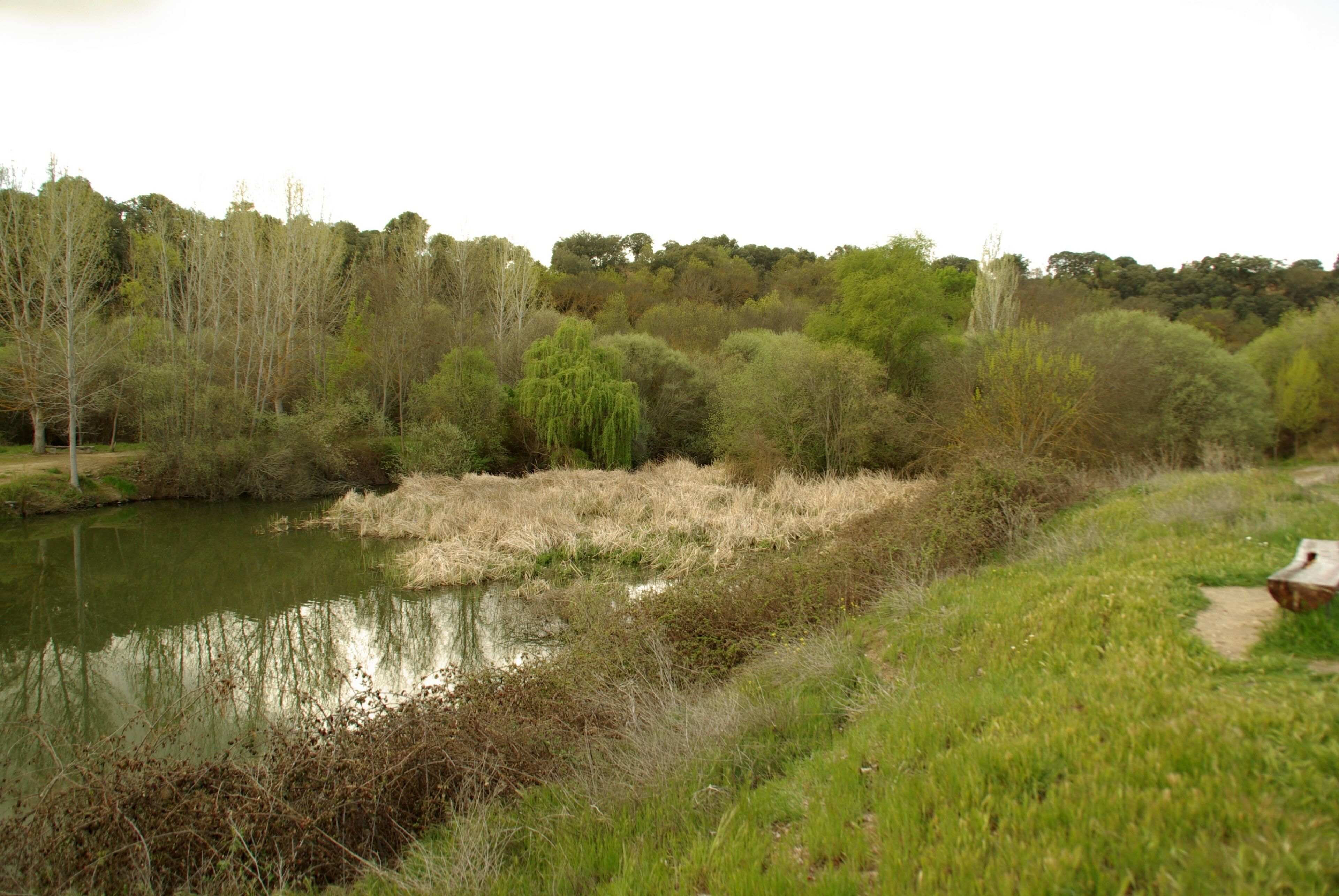 ® S.D. MADRID RIO MANZANARES_MEANDRO