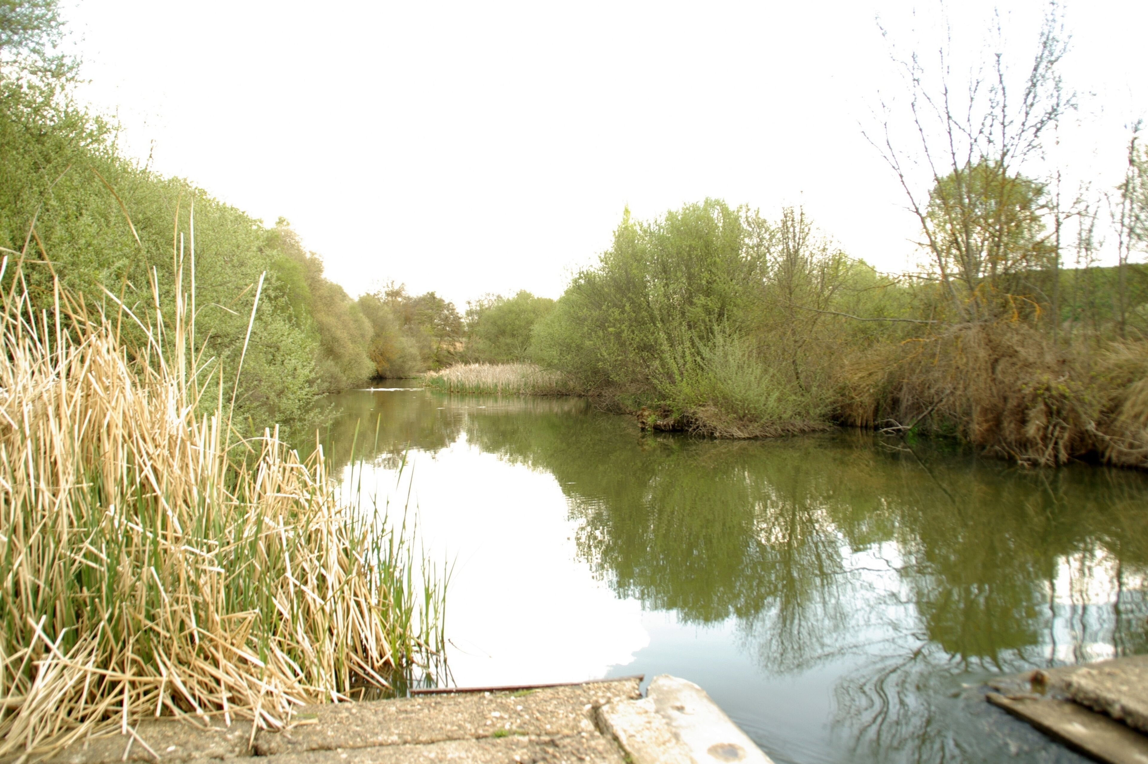 ® S.D. MADRID P.C.M. EL PARDO_PRESILLA CANAL DE REMONTE