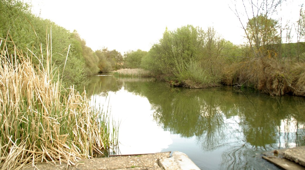 ® S.D. MADRID P.C.M. EL PARDO_PRESILLA CANAL DE REMONTE