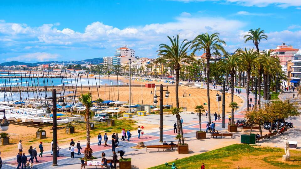 A coastal promenade with palm trees, benches, and a beach in the background.