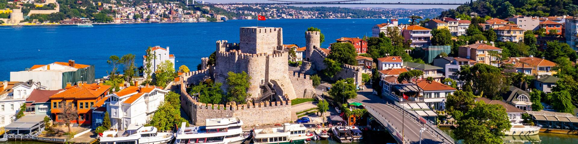 A coastal cityscape with a historic castle, a modern bridge, and a marina with boats.