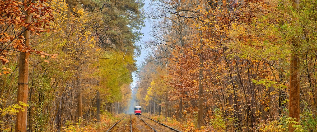 A railway track surrounded by autumn foliage.