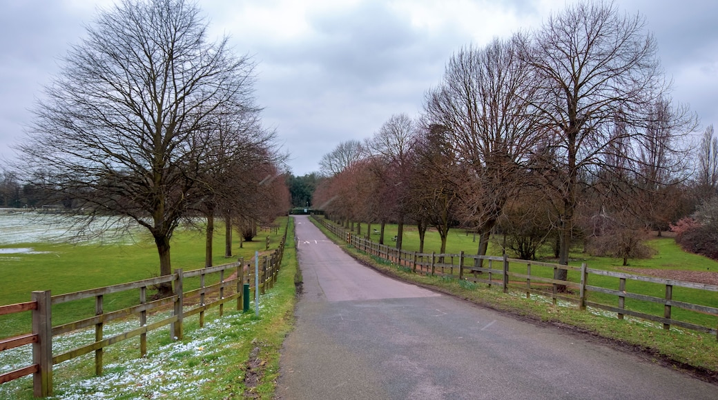 ロングフォード