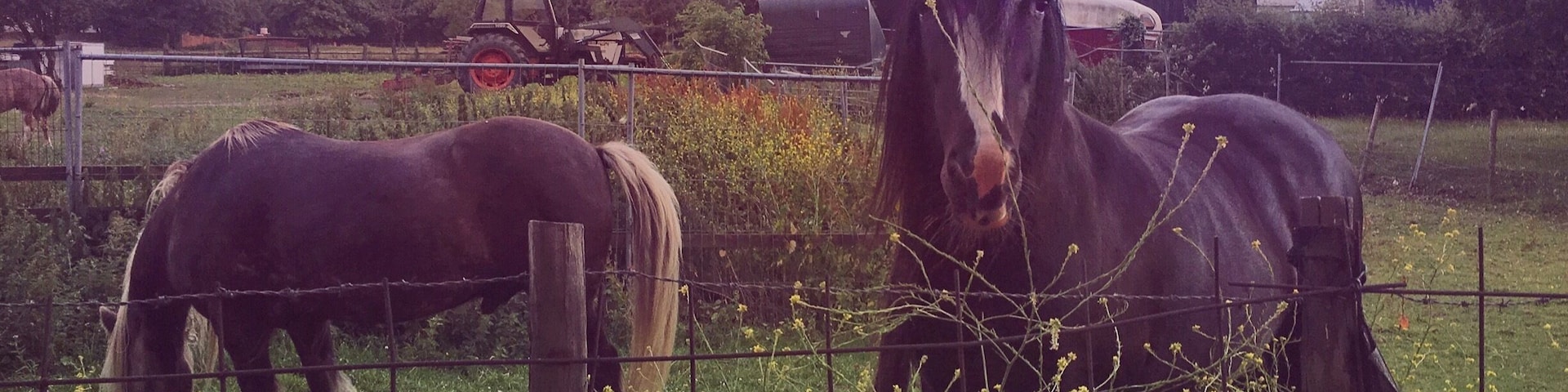 I found my happy place