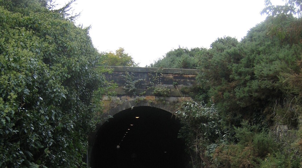 The sort of place just made for Sustrans. A lovely long old railway under Embra that shoots out to the east.