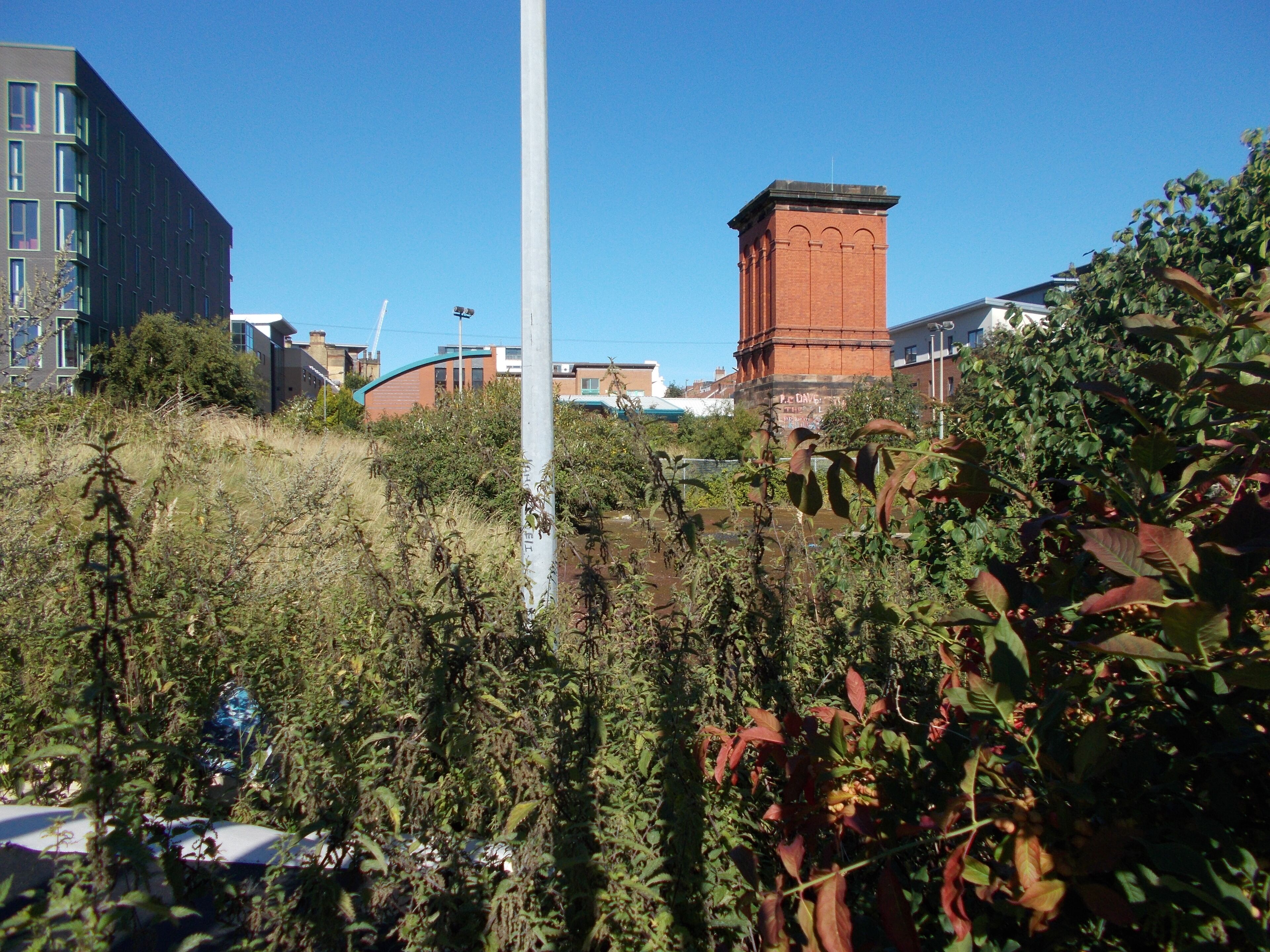 This file was uploaded with Commonist. Upper Pitt Street, Liverpool