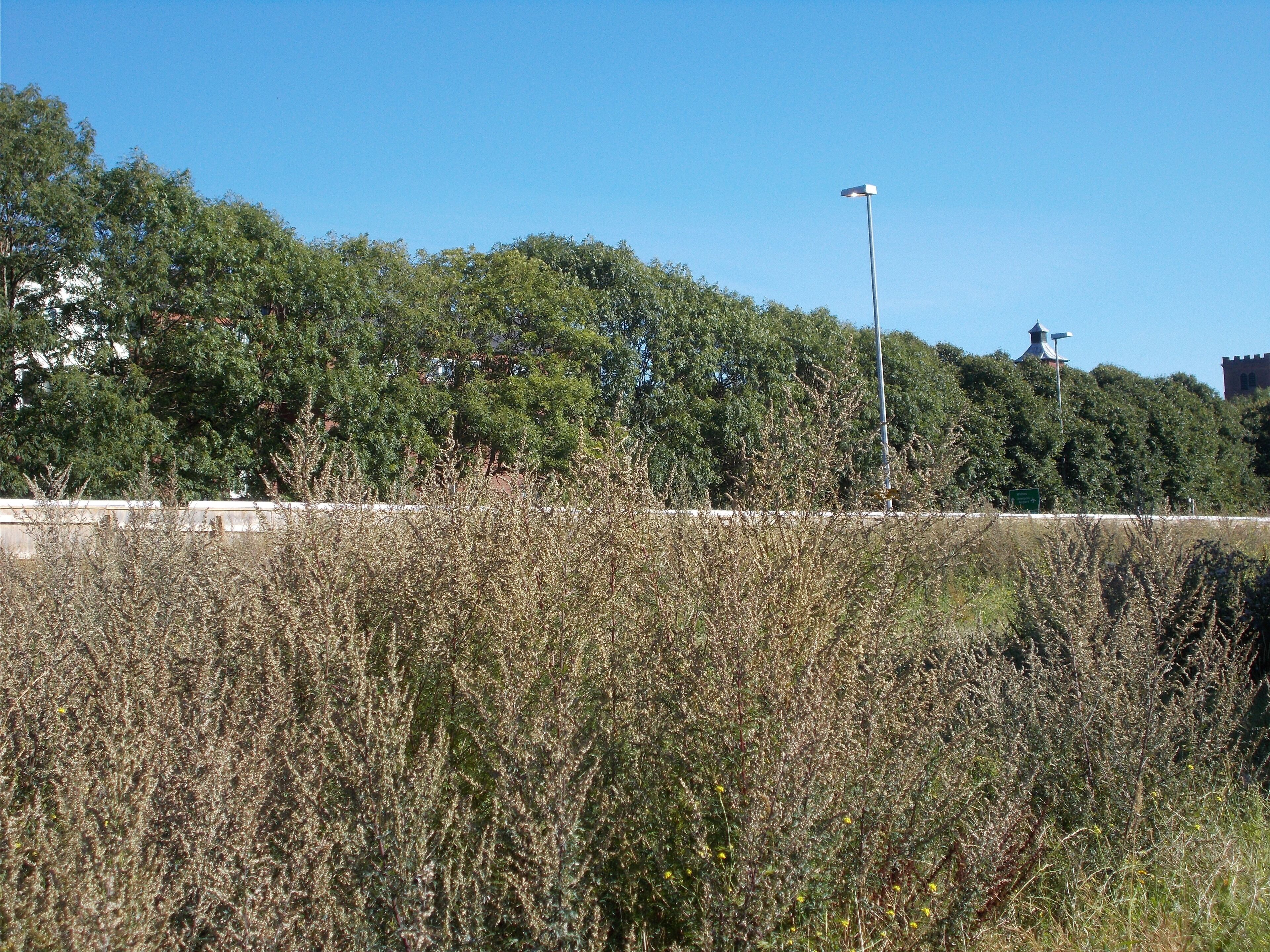 This file was uploaded with Commonist. New China Town Liverpool start of building.