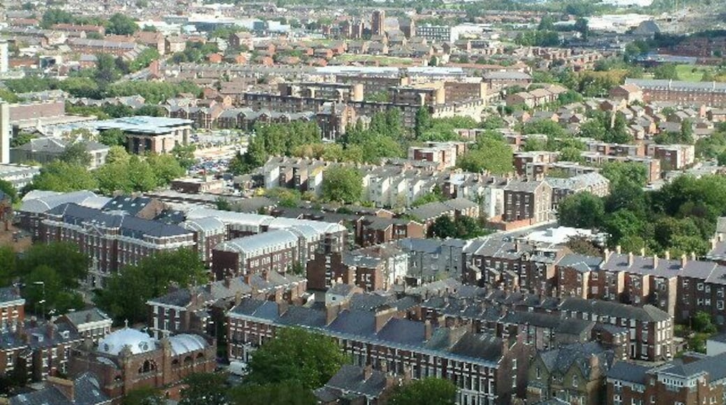 View from the top of the Anglican Cathedral Tower, Liverpool. Towards the Littlewood's Building on Edge Lane