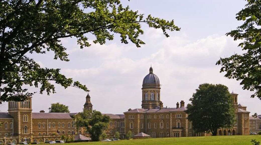 Housing, Friern Barnet Road, London N11 Some of the renovated buildings from the old Colney Hatch Hospital. This is a very attractive, landscaped complex.