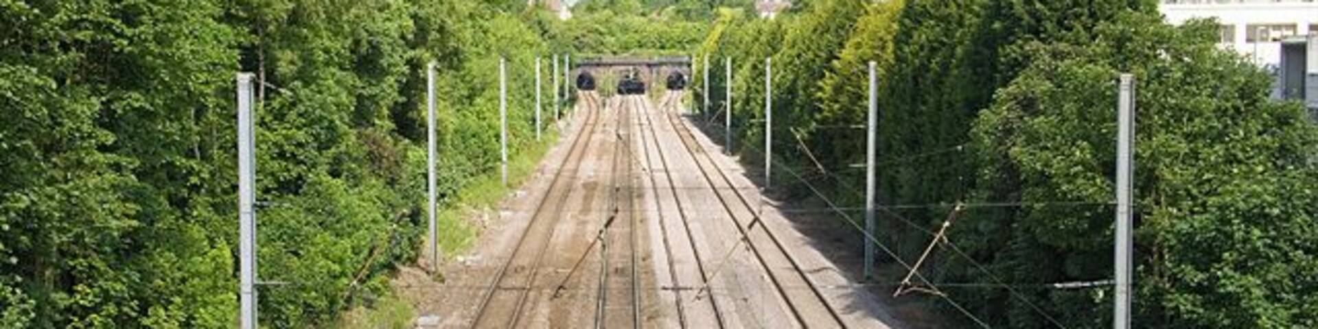 Railway tracks surrounded by greenery and a bridge in the distance.