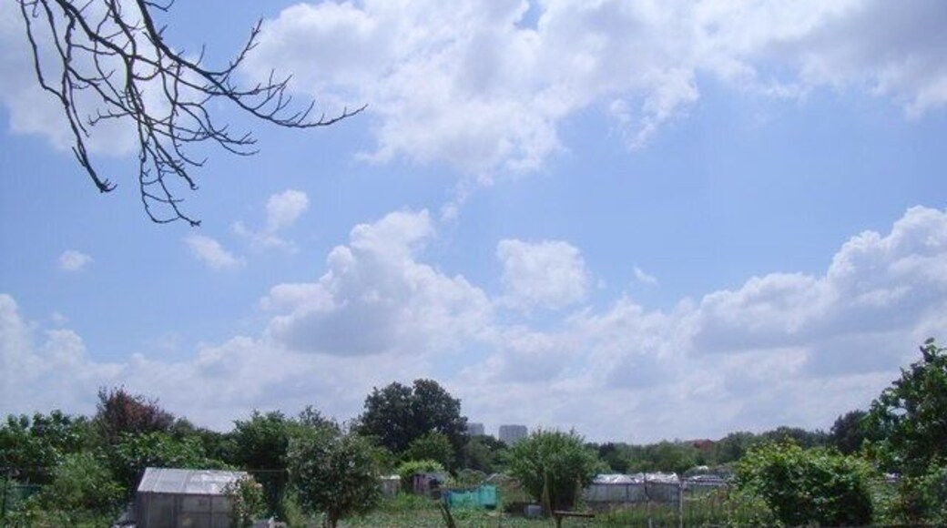 Allotment gardens at side of A10 dual carriageway View across the allotments, with the high rise towers of Edmonton Green in the background
