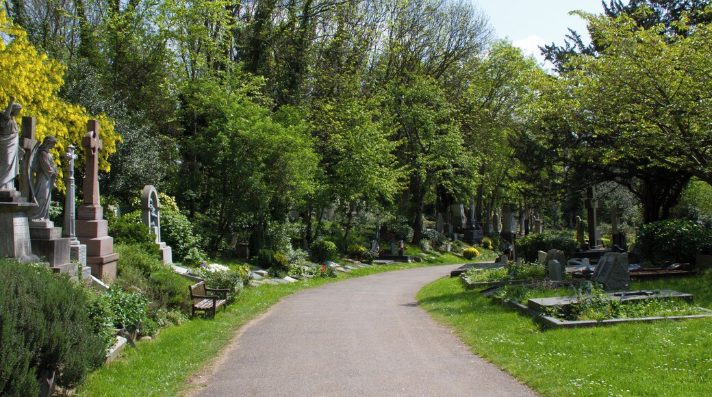 Highgate Cemetry 1
