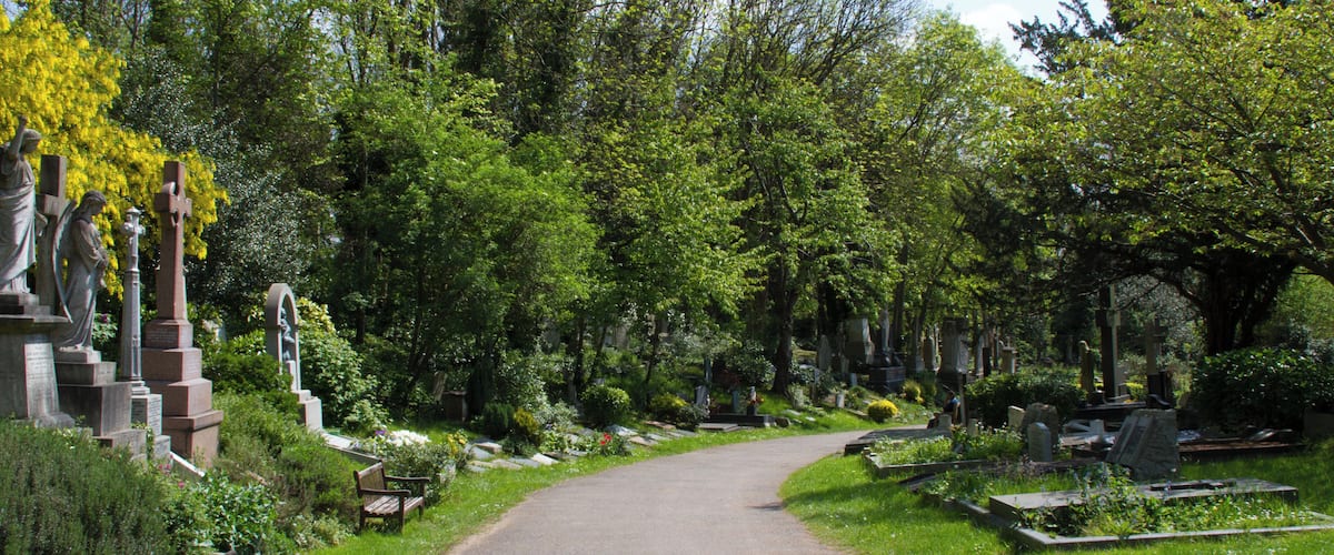 Highgate Cemetry 1