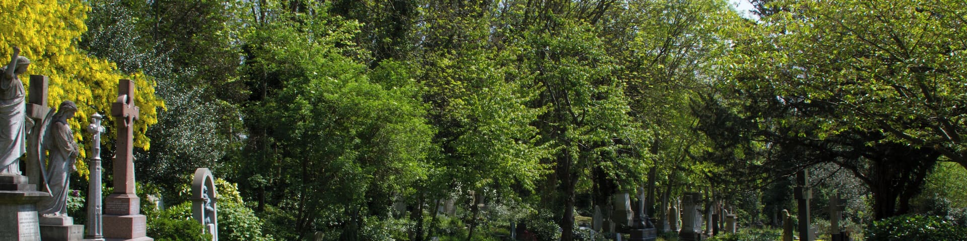 Highgate Cemetry 1