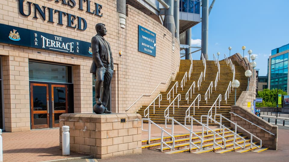 Newcastle City Center which includes a statue or sculpture