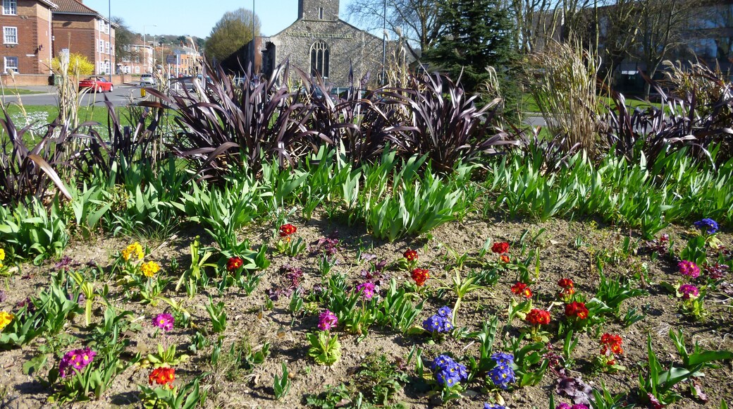 On a roundabout near The Puppet Theatre, Norwich