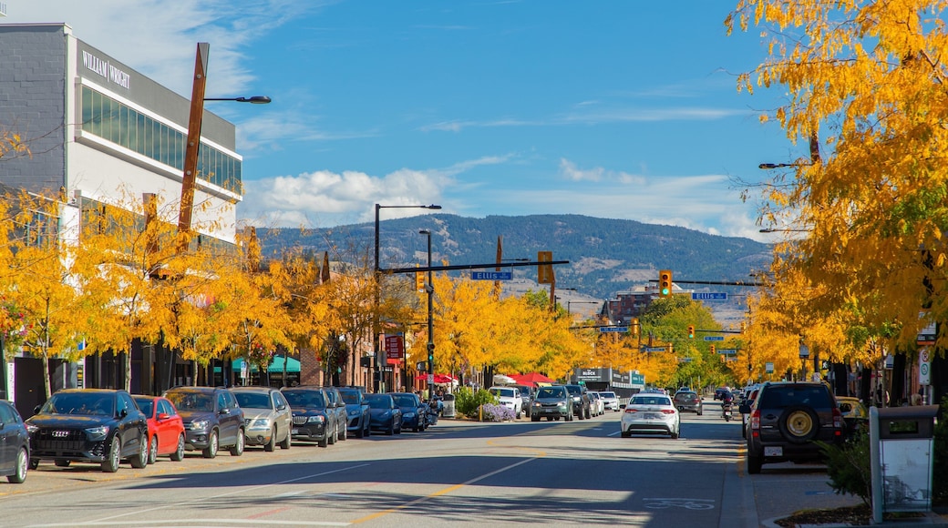 Downtown Kelowna which includes a small town or village