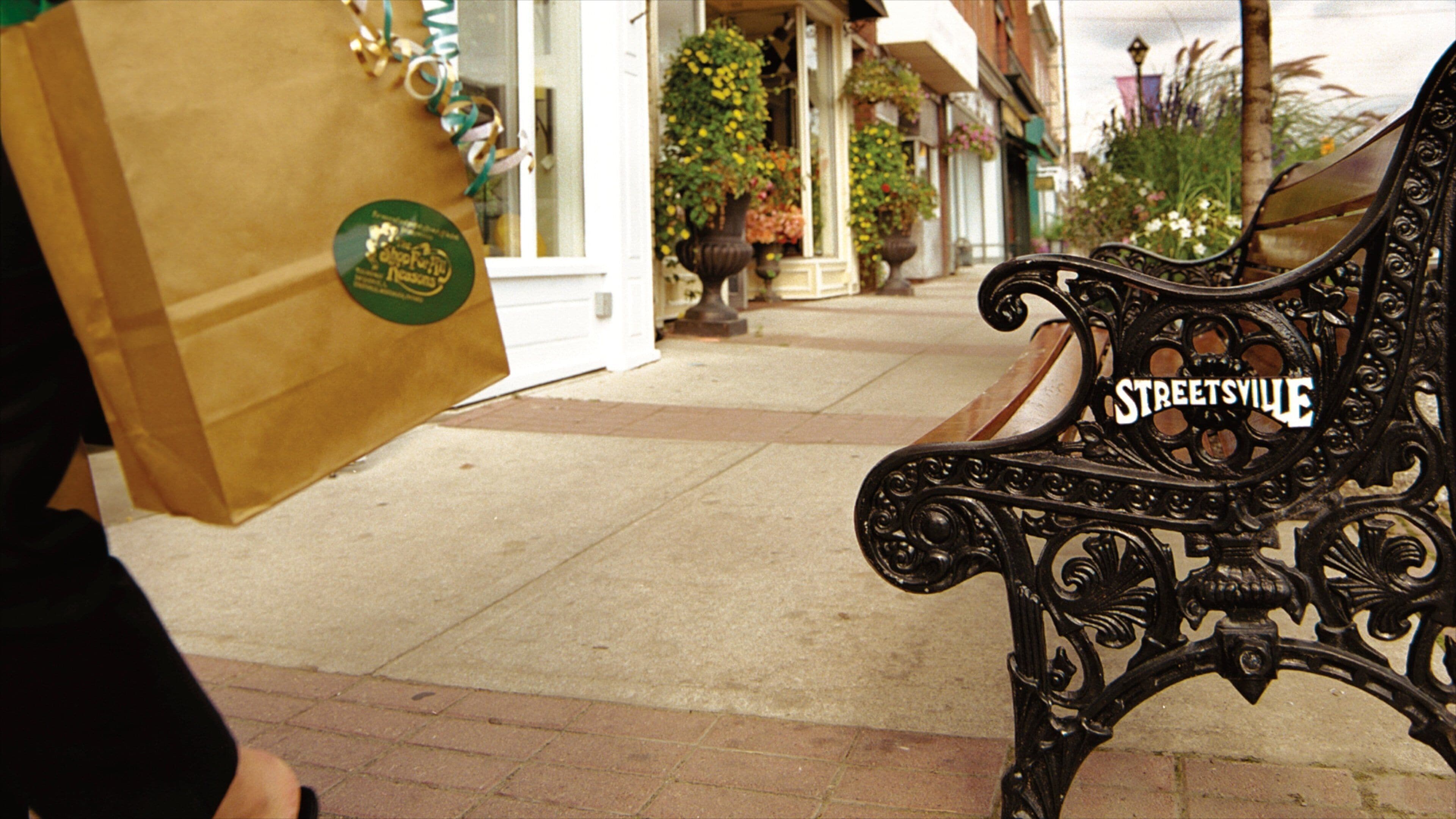 Downtown Mississauga featuring signage, street scenes and shopping