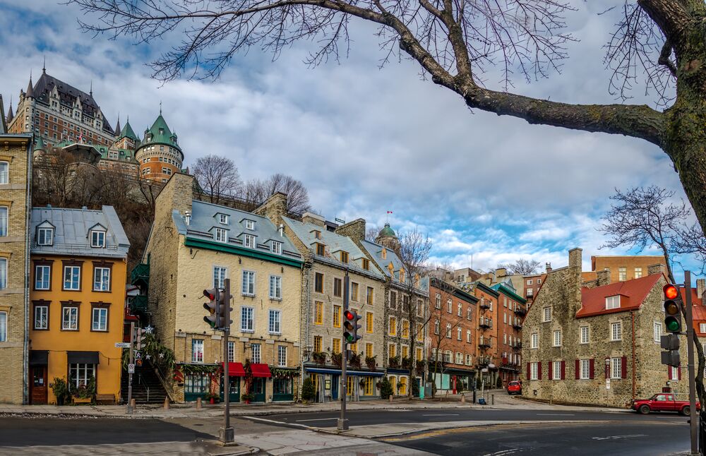 Calle con edificios históricos, un semáforo y un árbol.