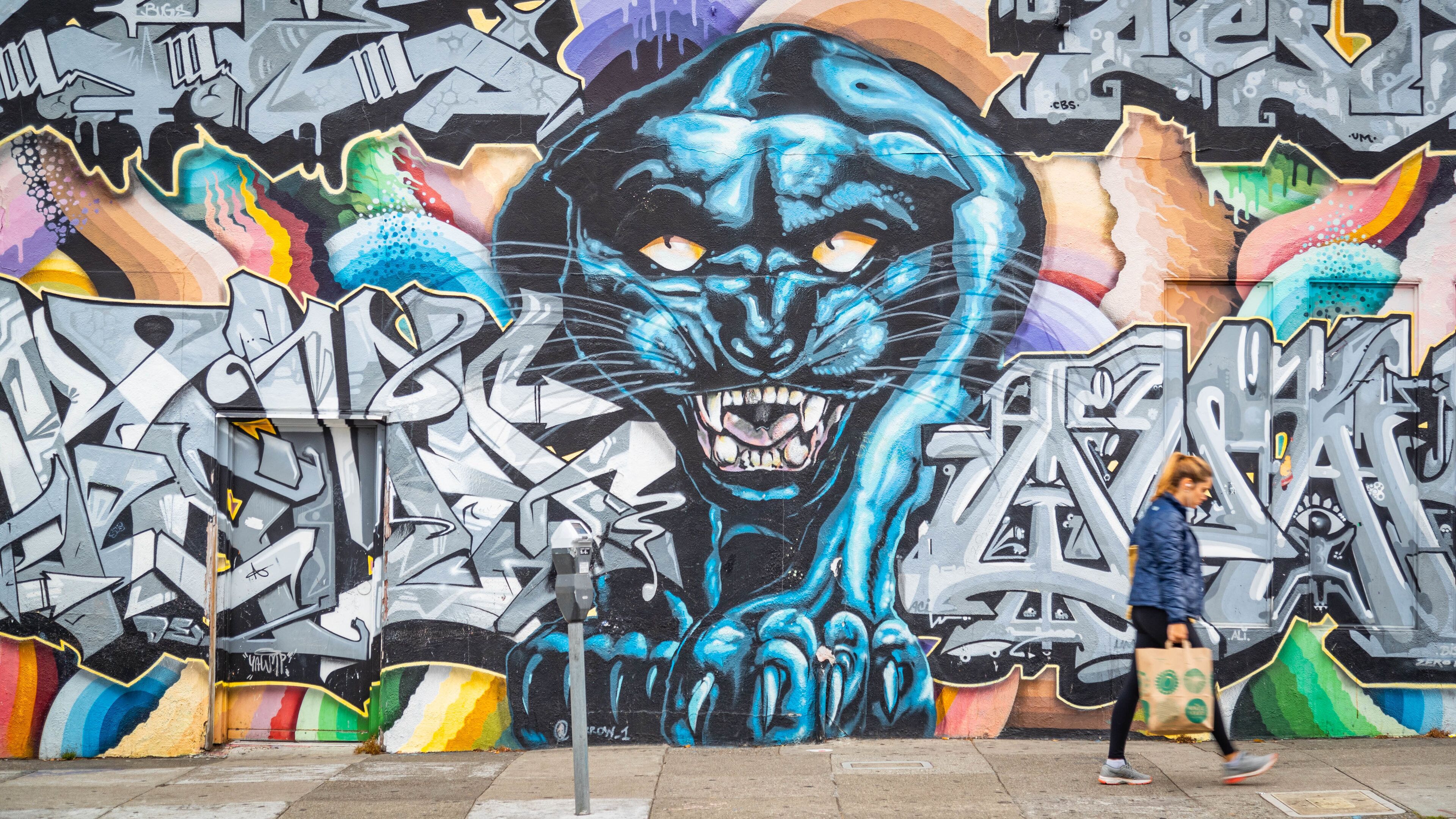 Cole Valley showing outdoor art