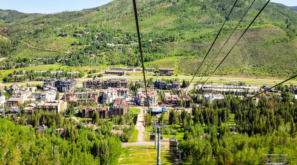 ライオンズヘッド