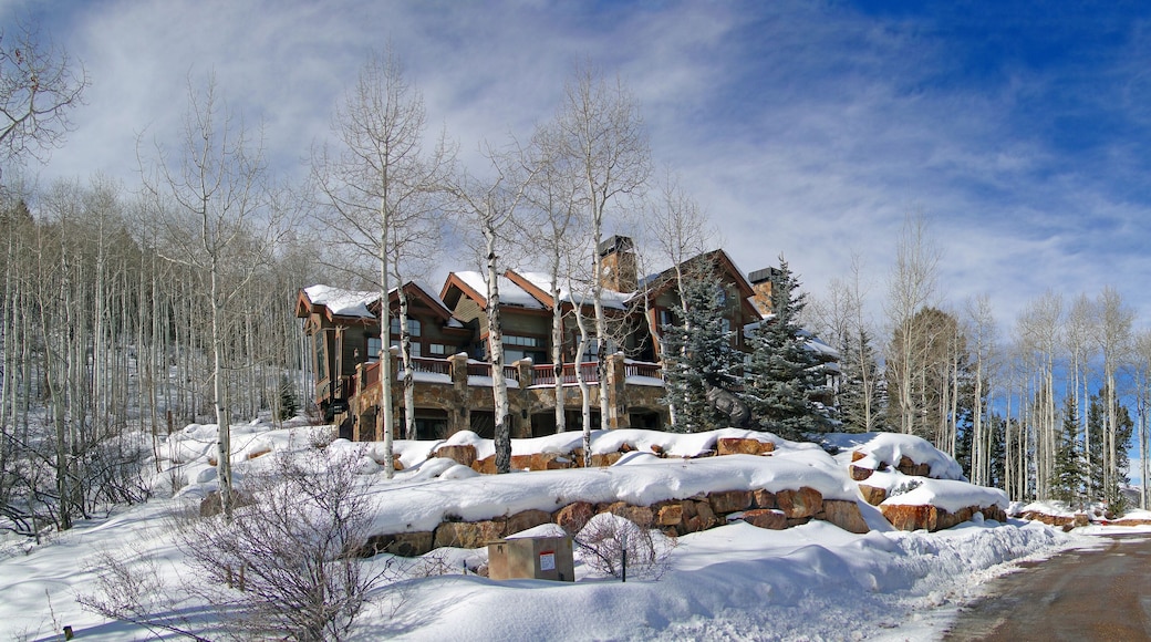 Large house in winter forest, above Vail Valley,Colorado