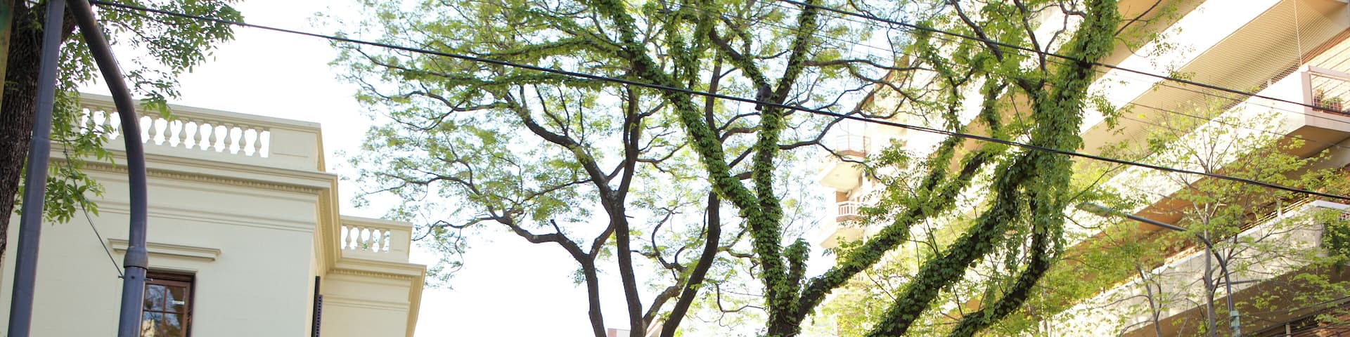 BuenosAires_VillaUrquiza_3000663498_5