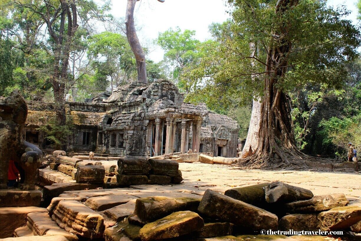Ancient stone ruins with large trees and a clear sky.