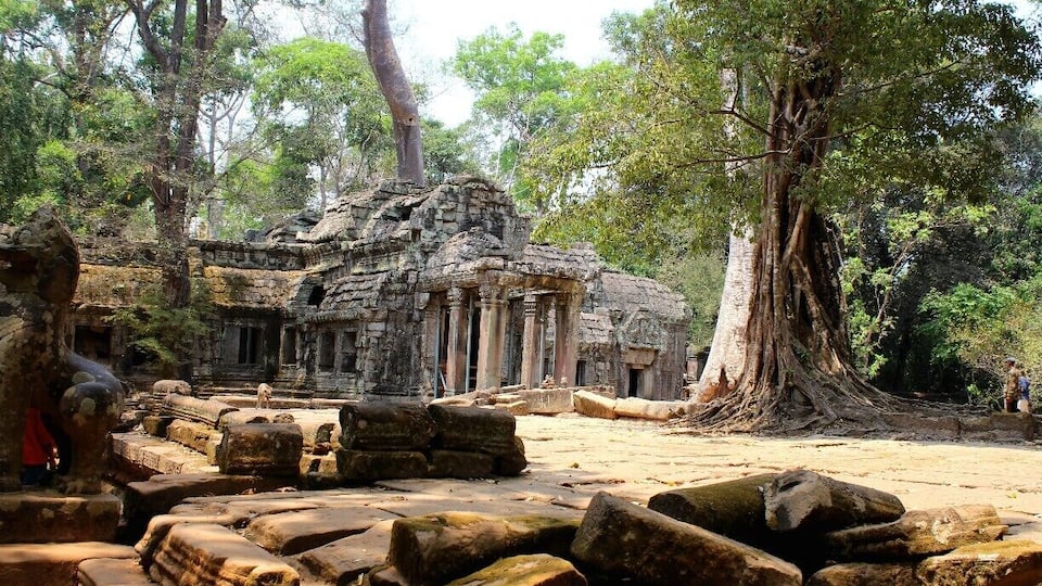 Ancient stone ruins with large trees and a clear sky.