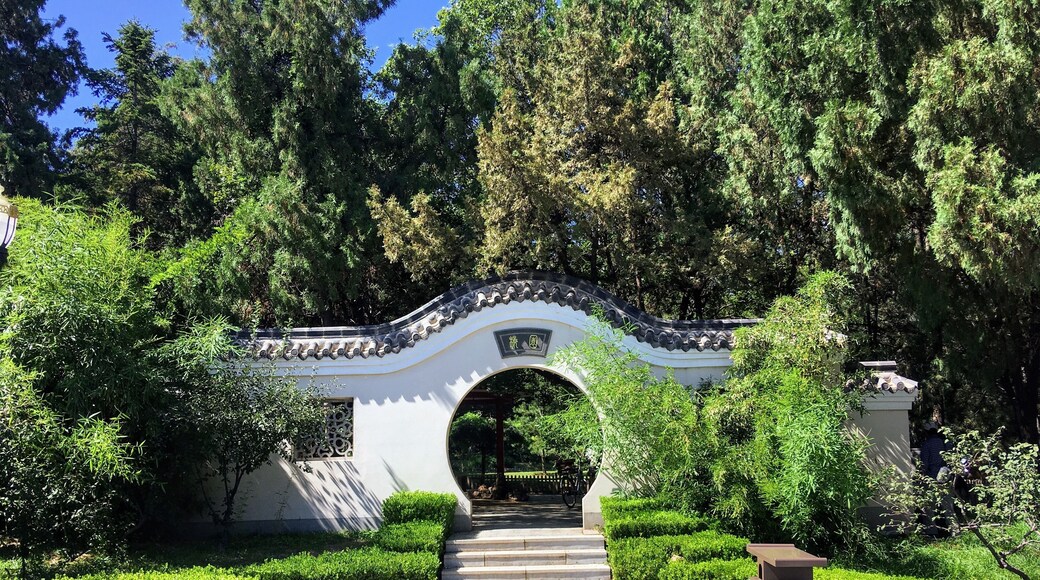 Laodong park is a beautiful place of green and lakes within a large, modern city. The main thoroughfare in the park is lined with the animals of the Chinese Zodiac.