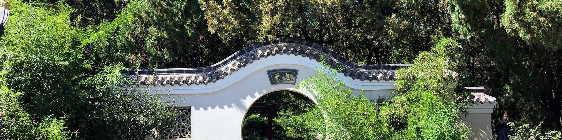 Laodong park is a beautiful place of green and lakes within a large, modern city. The main thoroughfare in the park is lined with the animals of the Chinese Zodiac.