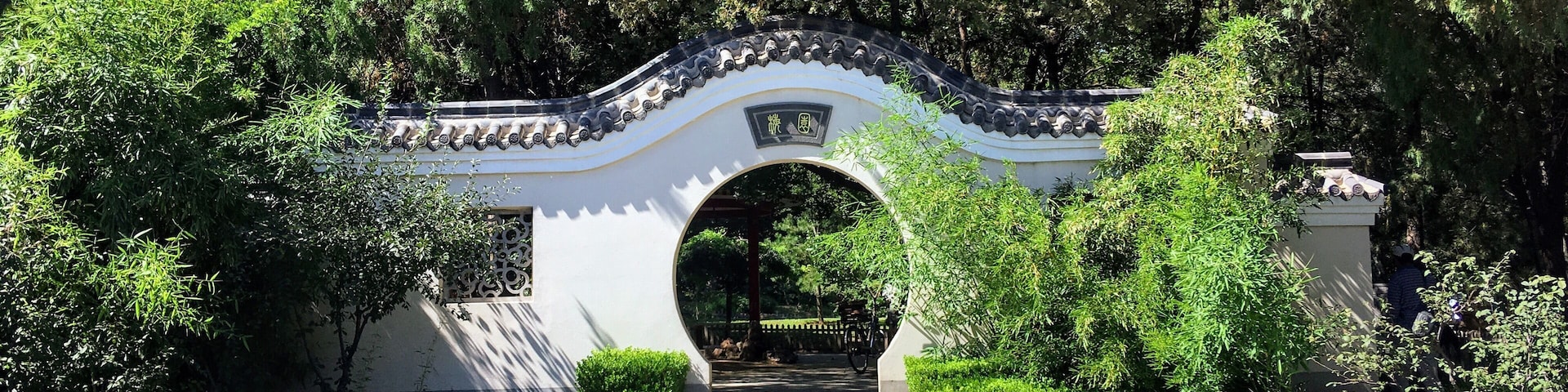 Laodong park is a beautiful place of green and lakes within a large, modern city. The main thoroughfare in the park is lined with the animals of the Chinese Zodiac.