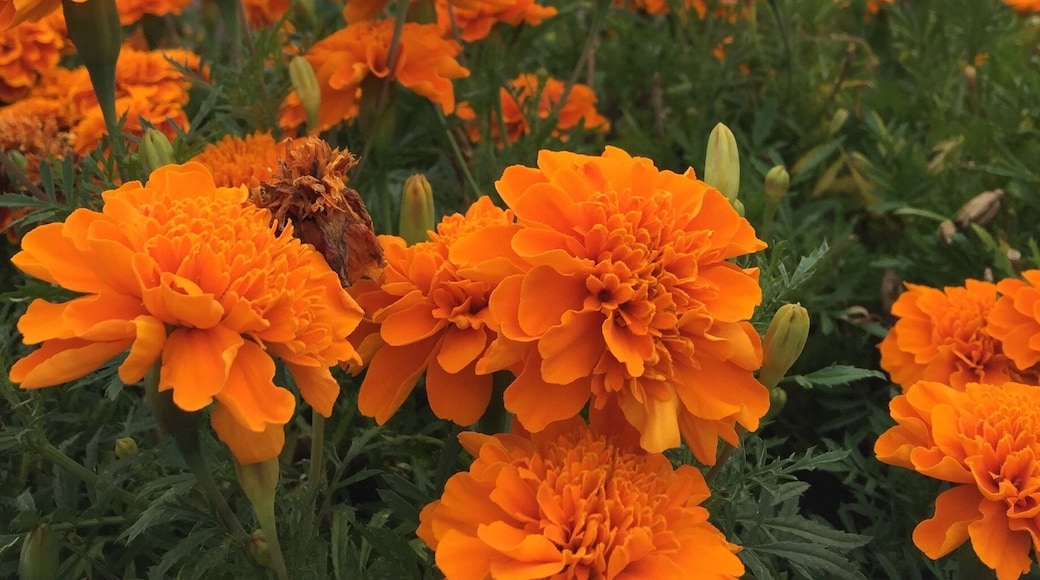 Summer holiday, good place to take kids here