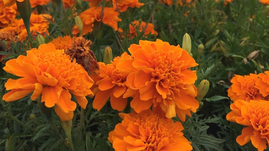 Summer holiday, good place to take kids here