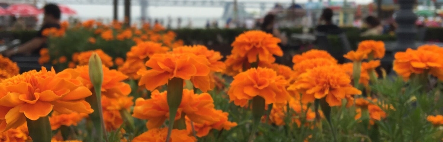 Summer holiday, good place to take kids here