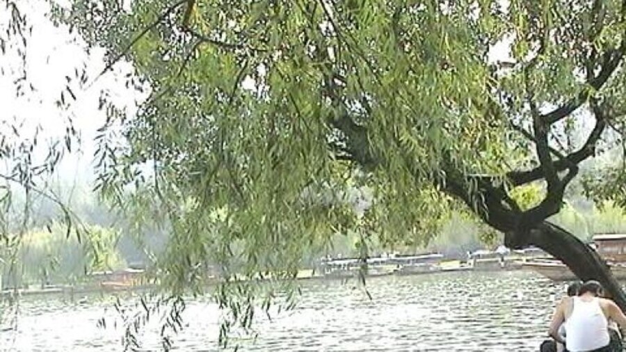 Xihu means West Lake, beautiful lake, Spring will be the best time to visit.