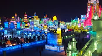 Harbin Ice Festival. Ice sculptures with LED lighting are magnificent, but freezing cold.