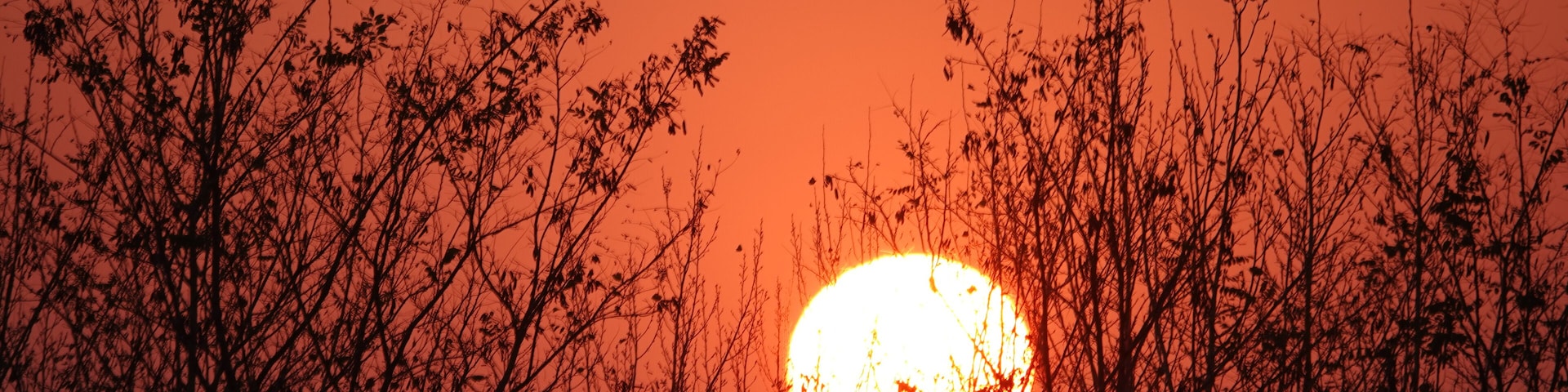 夕阳