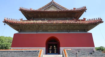 Stadtbezirk Dadong