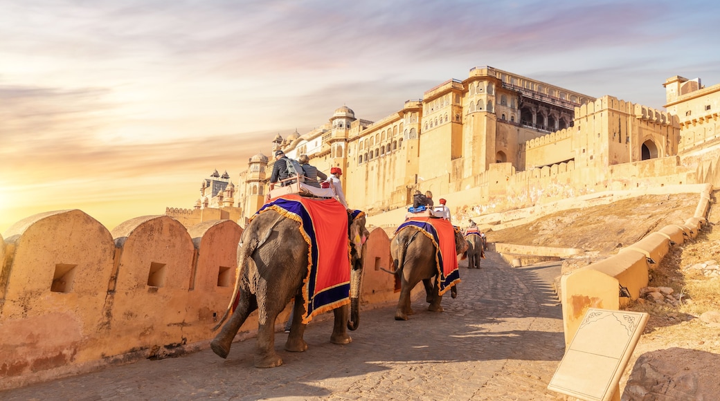 Tourists on the elephants in Amber Fort, Jaipur, Rajasthan, India