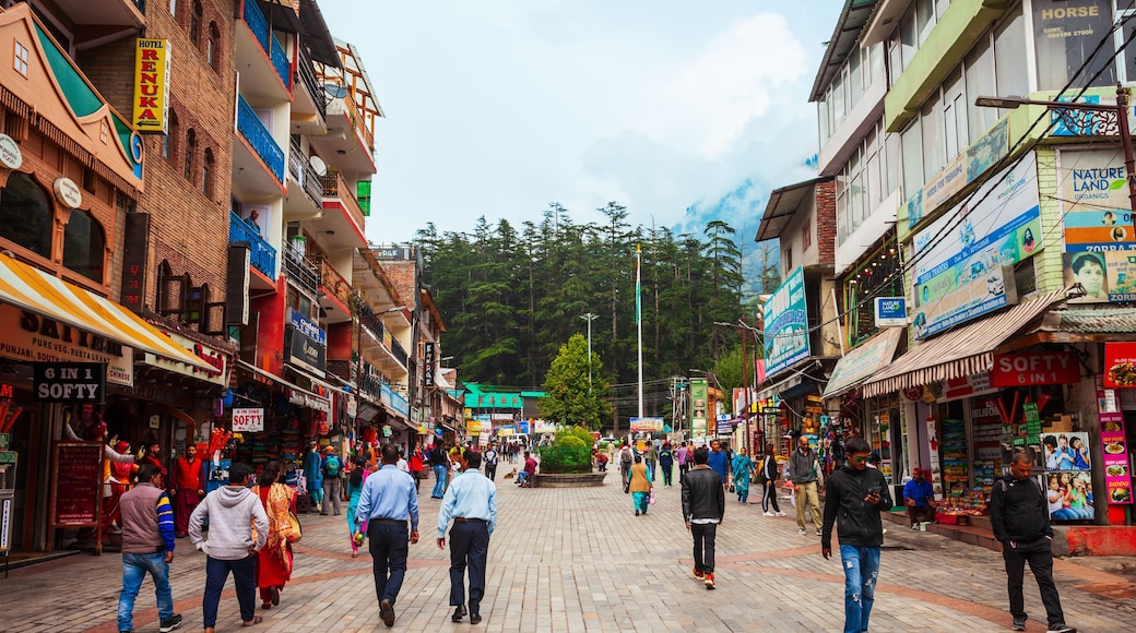 Zona comercial de Mall Road