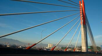 pasupati bridge