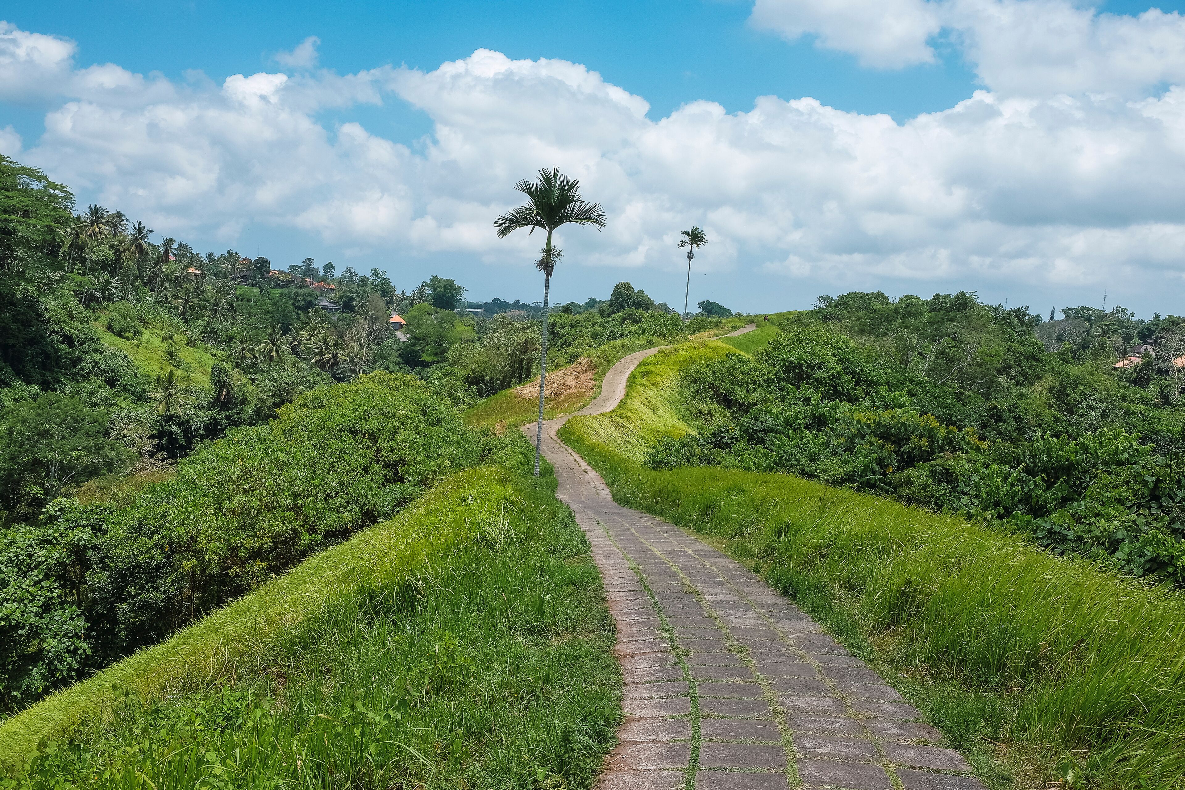 Campuhan Ridge Walk, Ubud, Bali, Indonesia